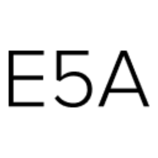 east5thavenue.com-logo